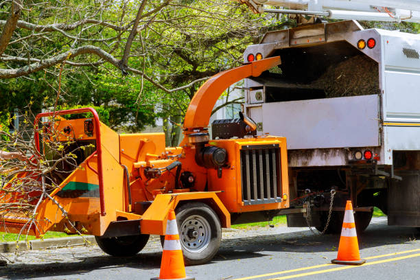 Best Utility Line Clearance  in North Fork, CA